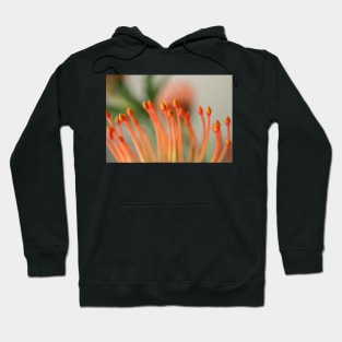 Pincushion Flower Hoodie